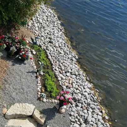 shoreline restoration